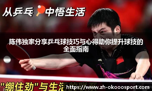 陈伟独家分享乒乓球技巧与心得助你提升球技的全面指南